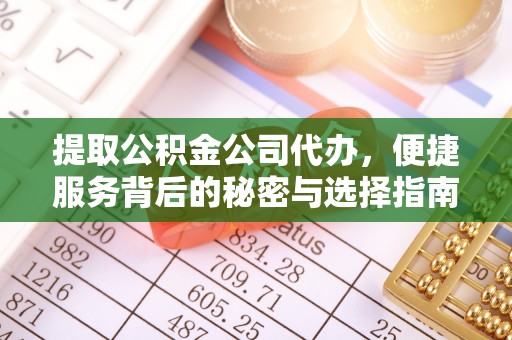 保亭提取公积金公司代办，便捷服务背后的秘密与选择指南