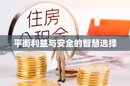 保亭平衡利益与安全的智慧选择