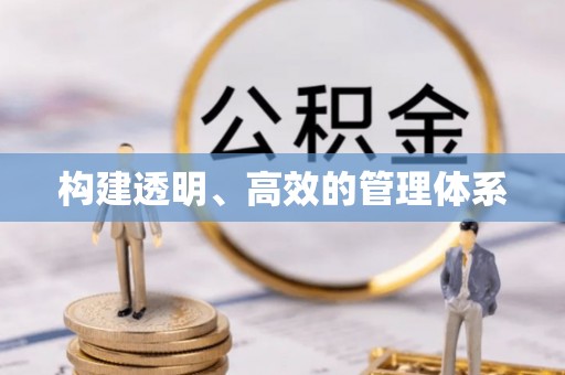 保亭构建透明、高效的管理体系