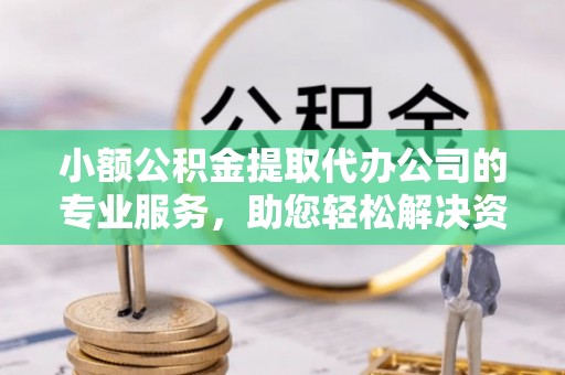 保亭小额公积金提取代办公司的专业服务，助您轻松解决资金难题