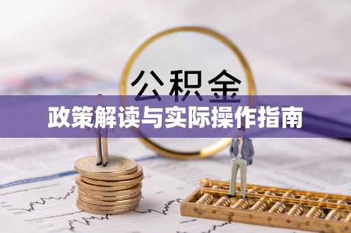 保亭政策解读与实际操作指南