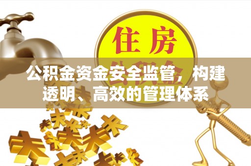 保亭公积金资金安全监管，构建透明、高效的管理体系