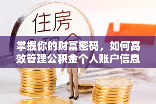 保亭掌握你的财富密码，如何高效管理公积金个人账户信息