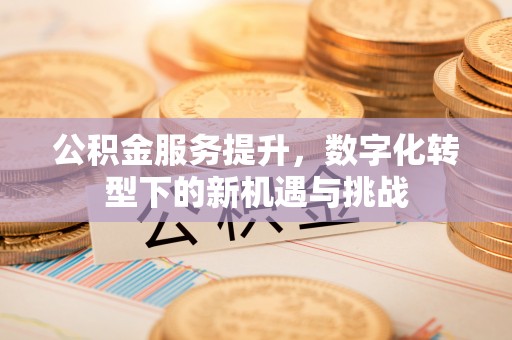 保亭公积金服务提升，数字化转型下的新机遇与挑战