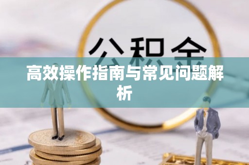 保亭高效操作指南与常见问题解析
