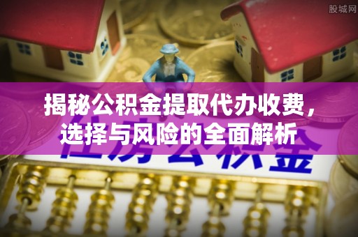 保亭揭秘公积金提取代办收费，选择与风险的全面解析