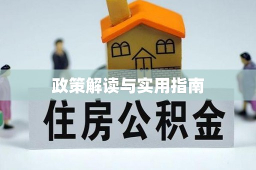 保亭政策解读与实用指南