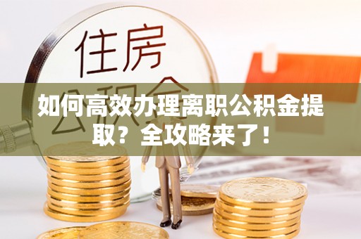 保亭如何高效办理离职公积金提取？全攻略来了！