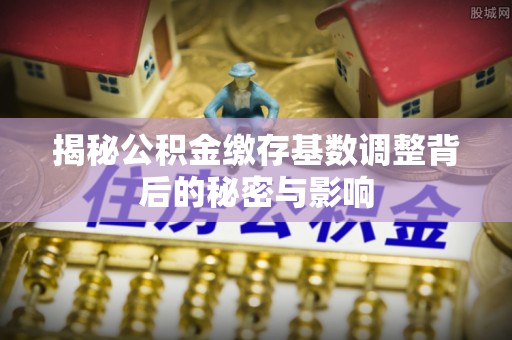 保亭揭秘公积金缴存基数调整背后的秘密与影响