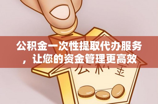 保亭公积金一次性提取代办服务，让您的资金管理更高效