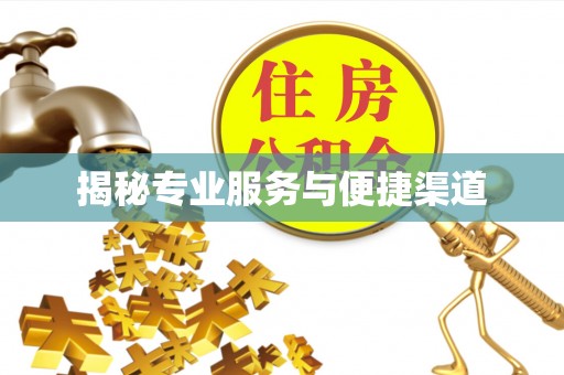 保亭揭秘专业服务与便捷渠道