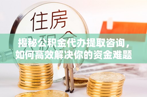保亭揭秘公积金代办提取咨询，如何高效解决你的资金难题