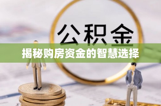 保亭揭秘购房资金的智慧选择