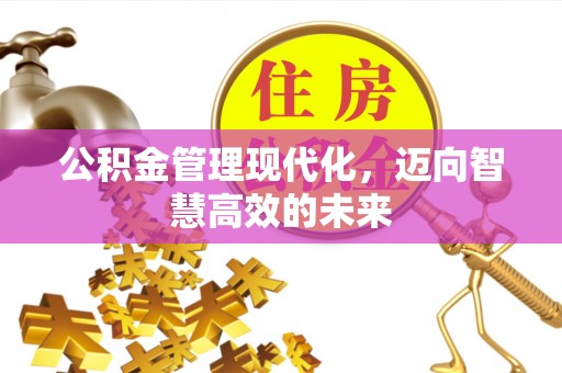 保亭公积金管理现代化，迈向智慧高效的未来