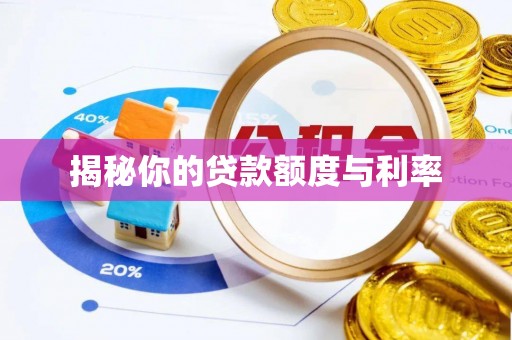 保亭揭秘你的贷款额度与利率