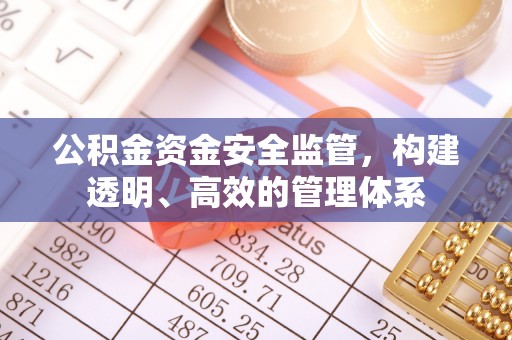 保亭公积金资金安全监管，构建透明、高效的管理体系