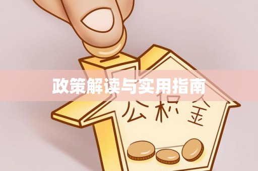 保亭政策解读与实用指南