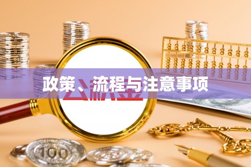 保亭政策、流程与注意事项