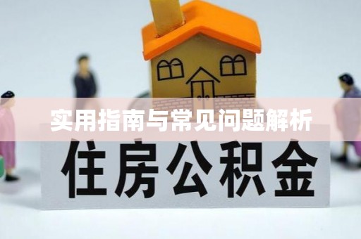 保亭实用指南与常见问题解析