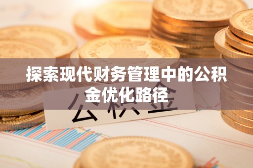 保亭探索现代财务管理中的公积金优化路径