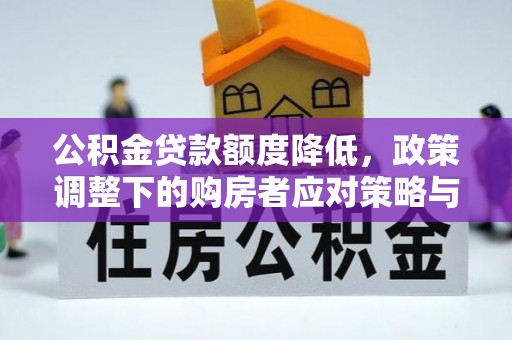 保亭公积金贷款额度降低，政策调整下的购房者应对策略与未来趋势