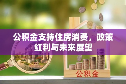保亭公积金支持住房消费，政策红利与未来展望