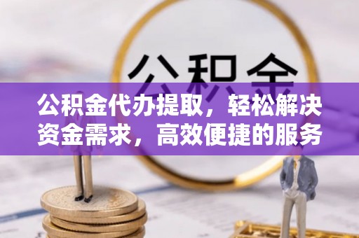 保亭公积金代办提取，轻松解决资金需求，高效便捷的服务选择