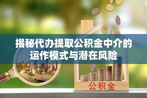 保亭揭秘代办提取公积金中介的运作模式与潜在风险