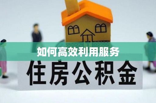 保亭如何高效利用服务