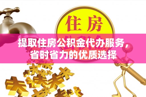 保亭提取住房公积金代办服务，省时省力的优质选择