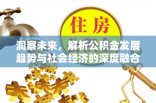 保亭洞察未来，解析公积金发展趋势与社会经济的深度融合