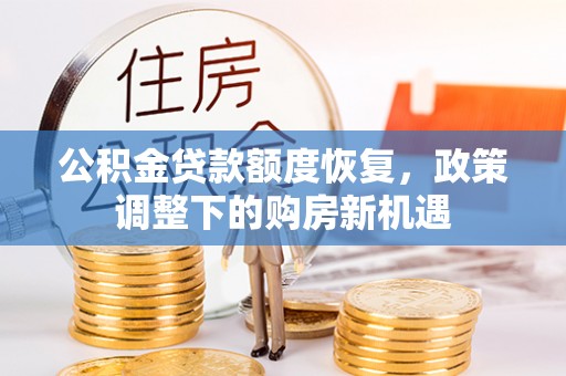 保亭公积金贷款额度恢复，政策调整下的购房新机遇