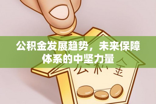 保亭公积金发展趋势，未来保障体系的中坚力量