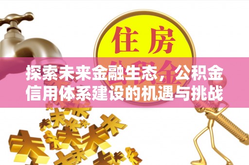 保亭探索未来金融生态，公积金信用体系建设的机遇与挑战