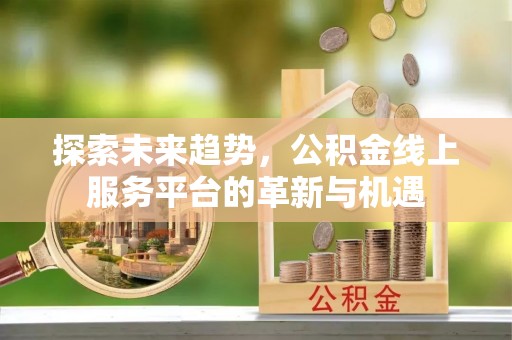 保亭探索未来趋势，公积金线上服务平台的革新与机遇