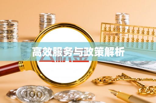 保亭高效服务与政策解析