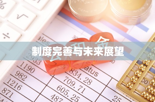 保亭制度完善与未来展望