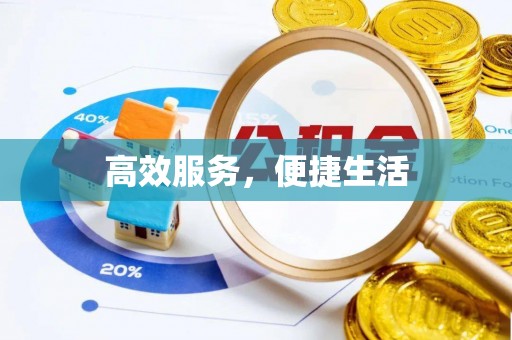保亭高效服务，便捷生活