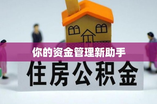 保亭你的资金管理新助手