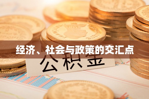 保亭经济、社会与政策的交汇点