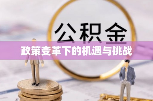 保亭政策变革下的机遇与挑战