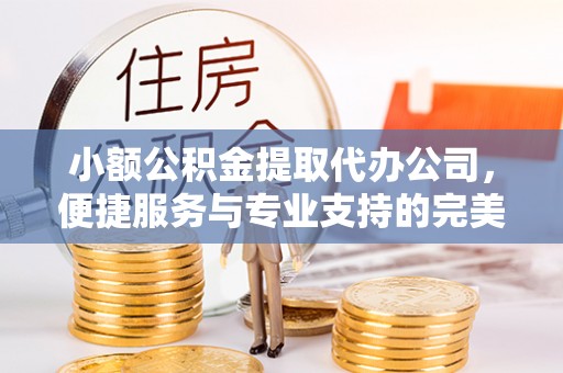 保亭小额公积金提取代办公司，便捷服务与专业支持的完美结合