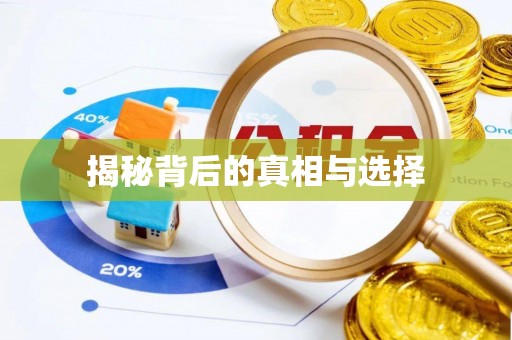 保亭揭秘背后的真相与选择