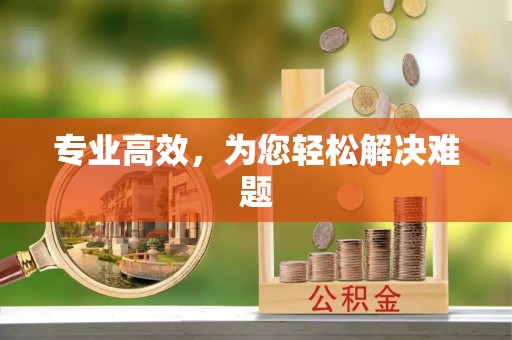 保亭专业高效，为您轻松解决难题