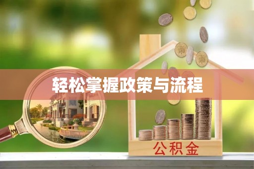 保亭轻松掌握政策与流程