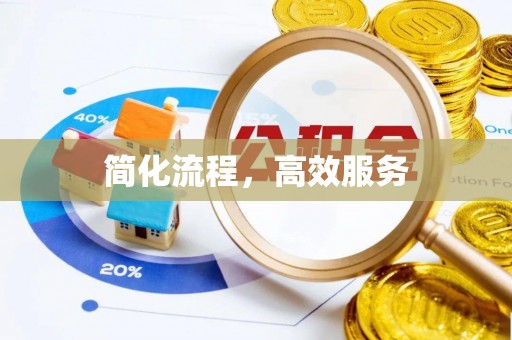 保亭简化流程，高效服务