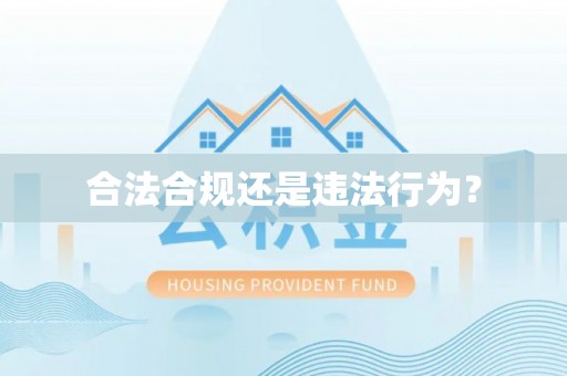 保亭合法合规还是违法行为？