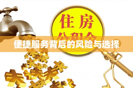 保亭便捷服务背后的风险与选择