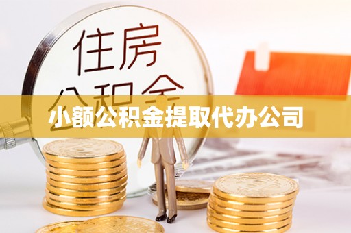保亭小额公积金提取代办公司