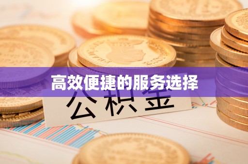 保亭高效便捷的服务选择